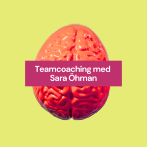 Teamcoaching med Sara Öhman, 4 månader